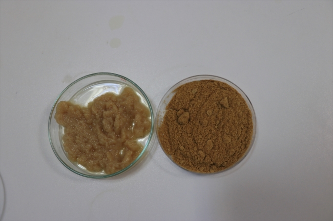 Kuru incir kozmetik, ilaç ve gıda endüstrisinde kullanılabilecek